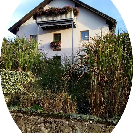 Ferienwohnung Uschkereit Waldmünchen Extérieur photo